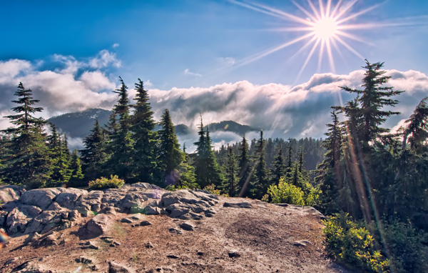 光導(dǎo)照明系統(tǒng)解決大進(jìn)深建筑采光問(wèn)題